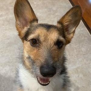 Meet your Posher, Steffany